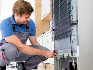 Refrigerator Water Filter Replacement